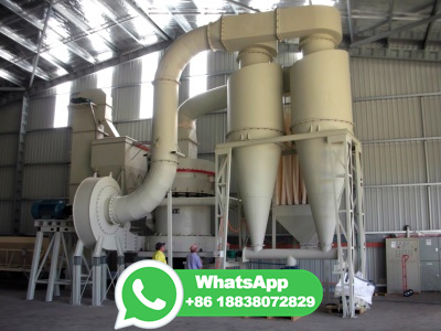 How to start the Best Maize Milling Business Plan Flour Mill Machine